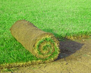 Gartengestalten mit Rollrasen